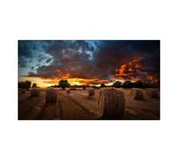 Samsung Écran VM55B-U 55'' Full HD 1920x1080 IPS 500 cd/m² Intérieur 24h/7j Noir