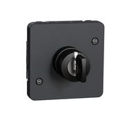 Schneider Electric Interrupteur à clé Mureva Styl 3 positions composable IP55 IK08 gris MUR35061