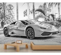 Mural Murale de Voiture de Sport Monochrome dans un Paysage de Plage - Décor Élégant pour Salle de Séjour ou Cave à Voitures 250x195cm (Non autocollant)