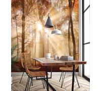 Forêt Arbres Papier Peint Photo Mural Image Sans Adhésif Salle à Manger Litre