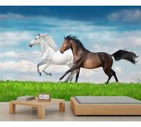 Murale de chevaux noir et blanc au galop sur l'herbe verte - Arrière-plan équestre et naturel pour la décoration du salon 200x140cm (Non autocollant)