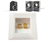 Murale De Haut-parleur - Encastrée AV En Deux Parties, Coupleur De Haut-parleur Unique, Indicateurs À Code Couleur, Finition Dorée | Montage Fiable Pour L'installation Audio Du Cinéma Ma