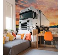 Muralo Fantastique papier peint photo polaire 460 x 300 cm bureau camion TIR paysage papier peint moderne salon chambre à coucher images murales papier peint XXL luxe abstrait br. 460 cm x hauteur 300