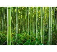 Muralo Papier Peint Auto-adhésif Forêt Nature Bambou Tropiques - 416x290 cm