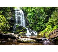 Muralo Papier Peint Chute d'eau et Cascade 270 x 405 Vinyle Mystérieux Vue Faune et Flore - 65742204