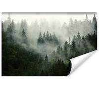 Muralo Papier Peint Forêt dans Le Brouillard 300 x 450 Vinyle Vue Paysage Faune et Flore - 167720496
