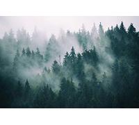 Muralo Papier Peint Panoramique Forêt dans le brouillard - 360x240 cm