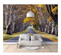 Murals Photo Self-adhesive Wallpaper Forest road tree landscape 100x70cm 3D Mural Wall Art Poster Picture Boy Girl Bedroom Gift Decoration Stickers