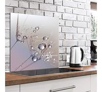 murando - Crédence Verre Cuisine 60x60 cm - Plaque Anti-Projection - Couvercle Anti-éclaboussures crédence - Plaque en Verre trempé - Fleurs Pissenlit Gouttes d'eau b-B-0432-aq-a