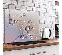 murando - Crédence Verre Cuisine 80x60 cm - Plaque Anti-Projection - Couvercle Anti-éclaboussures crédence - Plaque en Verre trempé - Fleurs Pissenlit Gouttes d'eau b-B-0432-aq-e