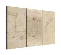 murando - Ensemble de 3 Tableaux d'Art Décoratif Esquisse de Vinci 120x80cm | 3 Pièces de 40x80 cm Chacune, Tableau Triptyque Décoration Moderne Salon, Impression sur Toile, Clous Inclus