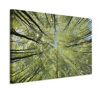 murando - Grand Tableau Décoration Murale Chambre, Floraison, 120x80 cm | Clous Inclus, Impression sur Toile, Tableaux, Posters et Arts Décoratifs, Arbres Éclairée par le Soleil des en Pleine