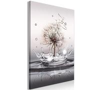 murando - Impression sur Verre Nature 60x90 cm 1 Partie - Imprimée Tableau Photo Image Pret a Accrocher Murale Moderne Décoration -Pissenlit avec Effet d'Eau et Éclats de Lumière b-C-0732-k-a