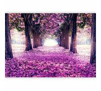 murando - Papier peint panoramique 250x175 cm - Revêtement mural chambre salon - Décoration murale design moderne - Routes arbres fleurs forêt feuilles nature paysage c-A-0031-a-c