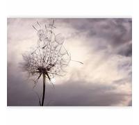 murando - Papier Peint Panoramique Adhésif Nature 343x256 cm - Murale Autocollante Décoration - Rouge marron gris violet - Nuages vent ciel pissenlits fleurs plantes nature b-B-0619-a-a