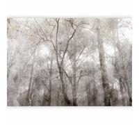 murando - Papier Peint Panoramique Adhésif Nature 343x256 cm - Tapisserie Murale Autocollante Décoration Moderne Chambre Salon - Vert beige marron - Nature paysage arbres forêt b-C-0996-a-a