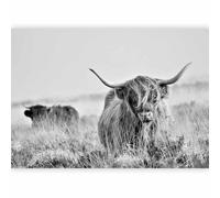 murando - Papier peint panoramique animal 300x210 cm - Revêtement mural décoration pour chambre salon - Design moderne - Gris noir - La photographie vaches prairie nature animaux g-B-0146-a-a