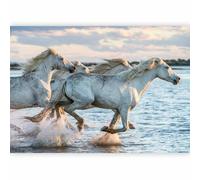 murando - Papier peint panoramique animal 350x256 cm - Revêtement mural décoration pour chambre salon - Design moderne - Beige gris marron - Nuages chevaux nature ciel l'eau animaux g-B-0142-a-a