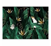 murando - Papier peint panoramique animal 350x256 cm - Revêtement mural décoration salon - Gogreen tendances perroquets singes feuilles tropicales nature animaux jungle g-C-0399-a-a