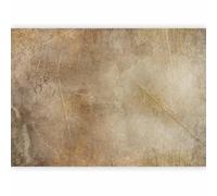 murando - Papier peint panoramique artistique 450x315 cm - Revêtement mural décoration salon - Design moderne - Marron beige gris - Texture de fond de feuilles abstraites vintage f-A-0915-a-a