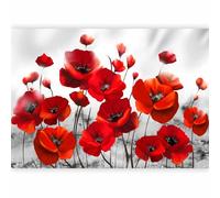 murando - Papier peint panoramique moderne 200x140 cm - Revêtement mural décoration salon - Design moderne - Lueur fleurs coquelicots nature plantes romantiques fond clair 10110906-23