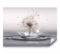 murando - Papier peint panoramique nature 200x140 cm - Revêtement mural décoration pour chambre salon cuisine - Design unique et moderne - Beige gris - Pissenlits l'eau fleurs nature b-C-0732-a-a