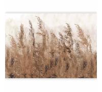 murando - Papier peint panoramique nature 350x256 cm - Revêtement mural décoration salon - Scandiboho Couleurs tendances prairie champs graminées paysage plantes nature b-A-0724-a-b