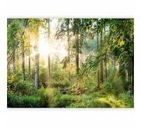 murando - Papier peint panoramique paysage 350x256 cm - Revêtement mural décoration chambre salon - Design moderne - Gris vert beige - Des arbres forêt feuilles nature paysage soleil c-C-0032-a-b