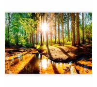 murando - Papier peint panoramique paysage 350x256 cm - Revêtement mural décoration chambre salon - Design moderne - Gris jaune beige - Des arbres paysage forêt nature rivière soleil c-B-0267-a-a