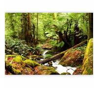 murando - Papier peint panoramique paysage 400x280 cm - Revêtement mural décoration salon - Design moderne - Arbres jungle forêt feuilles nature plantes rivière cascade c-B-0536-a-a