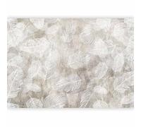 murando - Papier peint PREMIUM 100x70 cm - Revêtement mural chambre salon - Décoration murale design moderne - Fond Gris Béton Brut Clair Avec Composition De Plumes Blanches f-C-10056-a-a