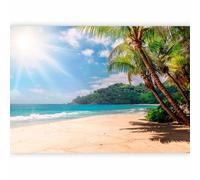 murando - Papier peint PREMIUM 350x256 cm - Revêtement mural chambre salon - Décoration murale design moderne - Palmiers Ensoleillé Paradis Nature Gris Plage Terre Ombre Photos b-C-10309-a-a