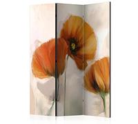 murando - Paravent intérieur à Deux côtés 135x172 cm - Séparateur de pièce en Bois Naturel avec Toile imprimée, Portable et Pliable - Fleurs de Coquelicots, Motif Graphique végétal b-C-0439-z-b