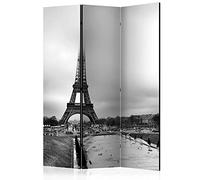 murando - Paravent intérieur à Deux côtés 135x172 cm - Séparateur de pièce en Bois Naturel avec Toile imprimée, Portable et Pliable - Photographie d'architecture Paris Tour Eiffel d-C-0156-z-b