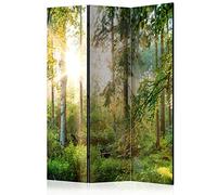 murando - Paravent intérieur Acoustique 135x172 cm - Séparateur de pièce avec Isolation phonique, Panneau insonorisant pour Bureau -des Arbres forêt Feuilles Nature Paysage Soleil c-C-0032-z-b