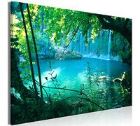 murando - Peinture acrylique Paysage 120x80 cm - Effet texturé ou coup de pinceau - Décoration avec finition faite à la main - Salon chambre - Finition artisanale - Jungle naturelle c-B-0544-b-a