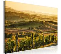 murando - Peinture acrylique Paysage 120x80 cm - Effet texturé ou coup de pinceau - Décoration avec finition faite à la main - Finition artisanale - Paysage italien Toscane c-B-0666-b-a