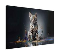 murando Photos drôles de chat Impression sur toile 90x60 cm 1 piece moderne tableau tableaux photo muraux décoration murale design tableau Taches colorées abstraites g-H-10069-b-a