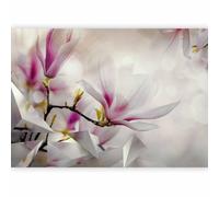 murando PREMIUM Papier peint Abstrait 200x140 cm Décoration Murale XXL Poster Tableaux Muraux Tapisserie Photo Trompe l'oeil Fleurs Magnolia rosa blanc 3D b-C-0572-a-d