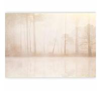 murando PREMIUM Papier peint Foret 350x256 cm Décoration Murale XXL Poster Tableaux Muraux Tapisserie Photo Trompe l'oeil Arbres Brouillard Bach Paysage b-A-10123-a-a