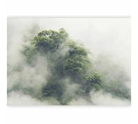 murando PREMIUM Papier peint Forêt dans le brouillard 300x210 cm Décoration Murale XXL Poster Tableaux Muraux Tapisserie Photo Trompe l'oeil Salle Nature Arbre b-B-0486-a-a