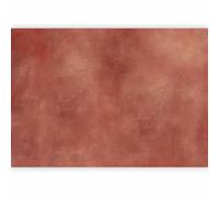 murando PREMIUM Papier peint Motif Rétro années - 400x280 cm Décoration Murale XXL Original Poster Tableaux Muraux Tapisserie Photo Trompe l'oeil - Création Effet terre cuite Orange f-H-10005-a-a