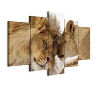 murando - Tableau décoratif animal 100x50 cm - Impression sur toile colorée - Décoration murale - Les lions bruns aiment la nature couple embrasser les animaux romantiques g-B-0034-b-m
