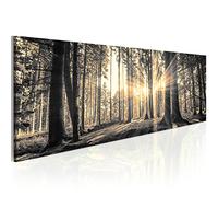 murando - Tableau en Verre Acrylique, Décoration Murale Forêt 135x45 cm | 1 Pièce, 4 mm, Décoration Moderne Extérieure Jardin, Tableaux et Arts Décoratifs, Impression sur Verre, Panneau Mural Forêt