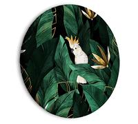 murando Tableau Rond Feuilles tropicales 40x40 cm 1 panneau impression sur toile tableaux décoration murale photo image artistique photographie graphique Jungle Animal Oiseau Singe g-C-10087-bc-a