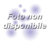 Murder in New Hampshire