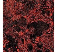 Murder of The Universe/Live at Red Rocks 2022/Vinyle Transparent/Inclus Puzzle 100 Pieces