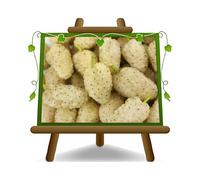 mûre blanc Plante fruitière vieux sur un pot de 26 - max 200 cm - 4 ans