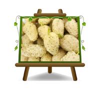 Mûre Mure Blanc - Plante fruitière vieux sur pot 20 - arbre max 170 cm - 2 ans