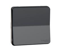 Schneider Electric Interrupteur va-et-vient Mureva Styl MUR35021 saillie IP55 connexion auto gris